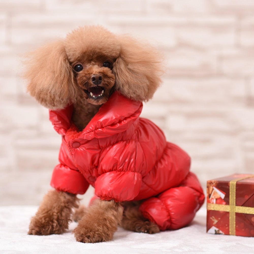 Warm Dog Winter Coat Jacket - Best Buddy Store