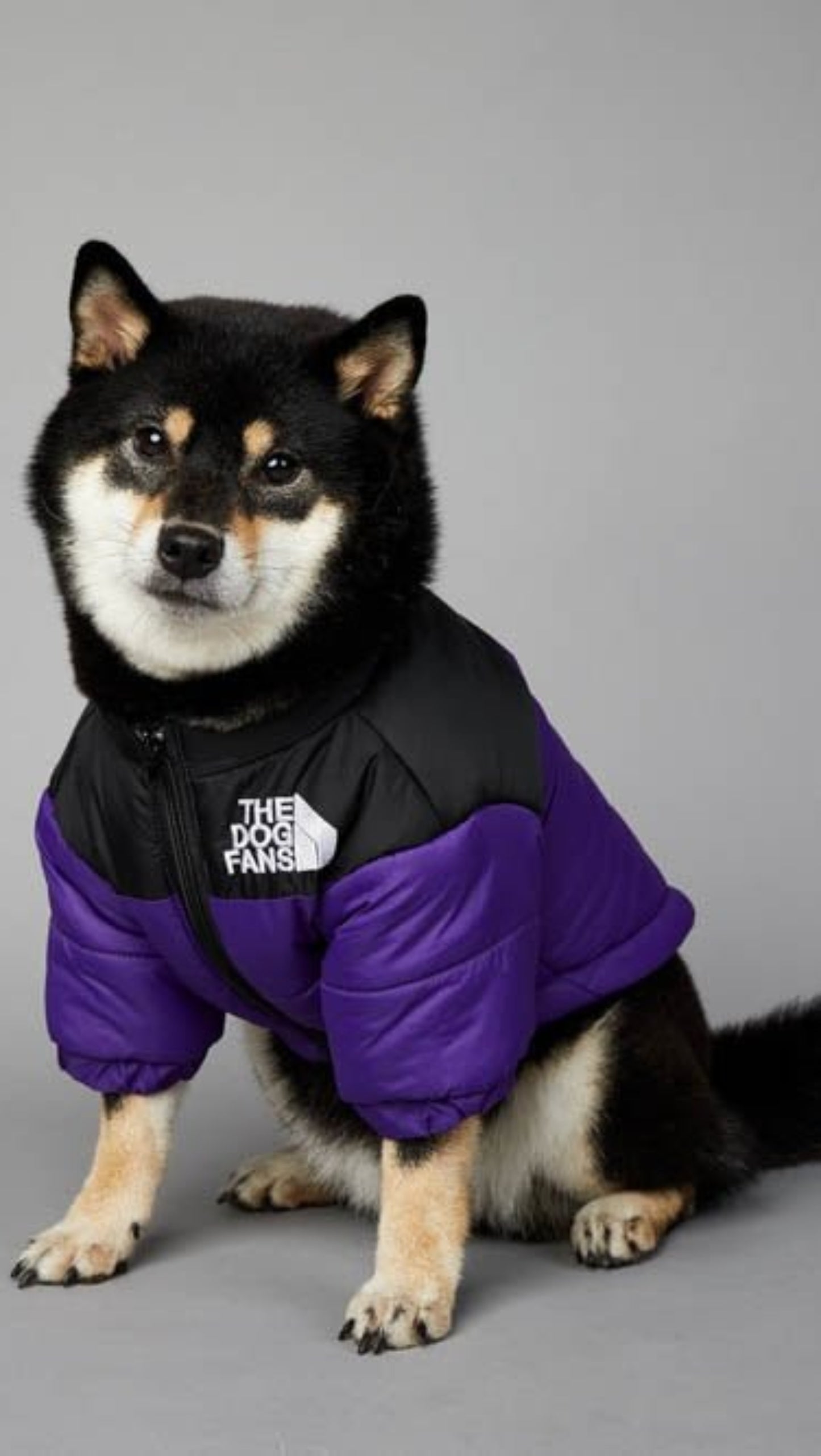 Warm Windproof Winter Dog Coat Jacket - Best Buddy Store