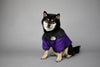 Warm Windproof Winter Dog Coat Jacket - Best Buddy Store