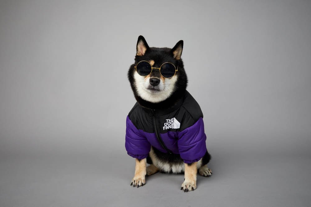 Warm Windproof Winter Dog Coat Jacket - Best Buddy Store