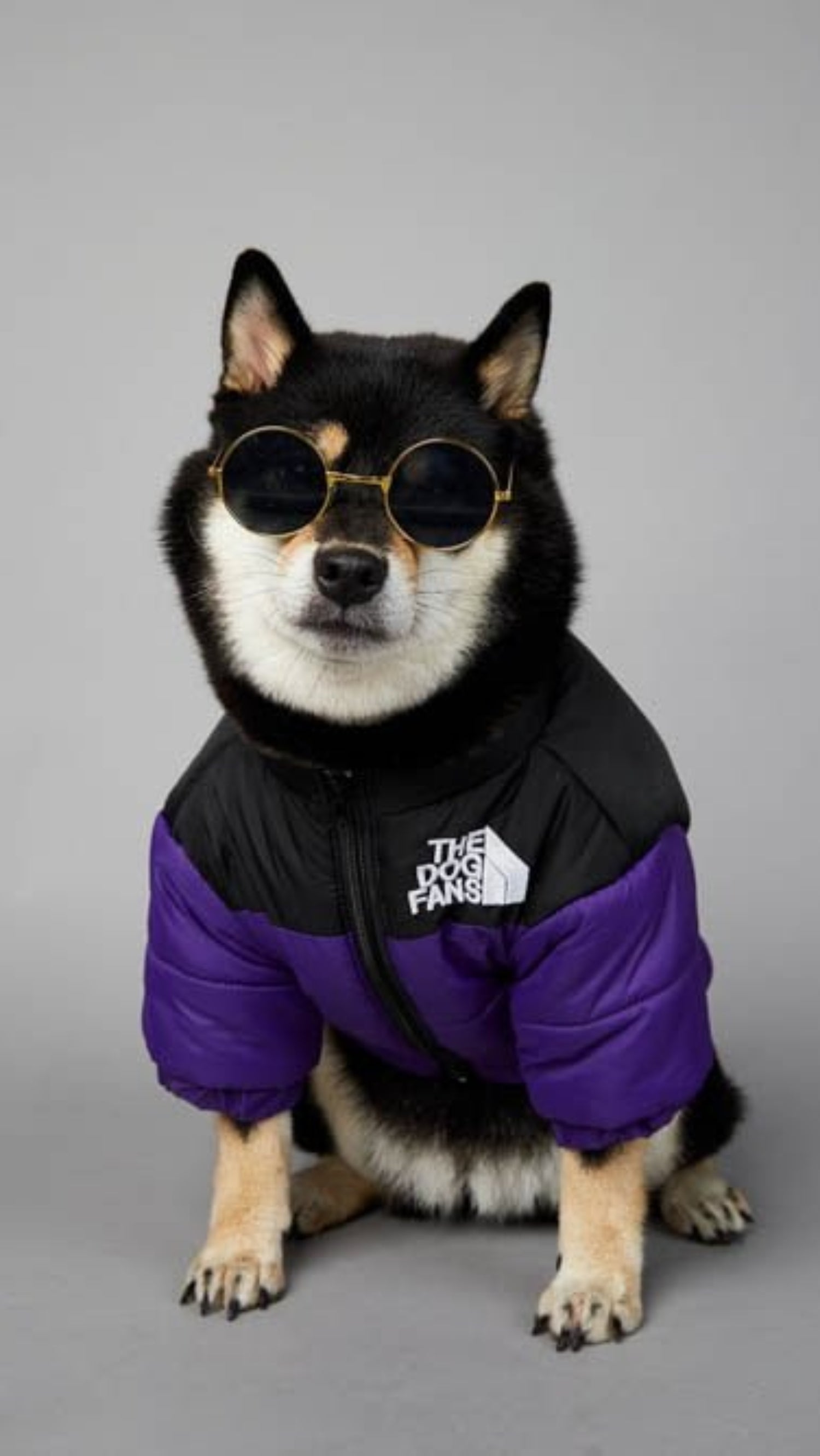 Warm Windproof Winter Dog Coat Jacket - Best Buddy Store