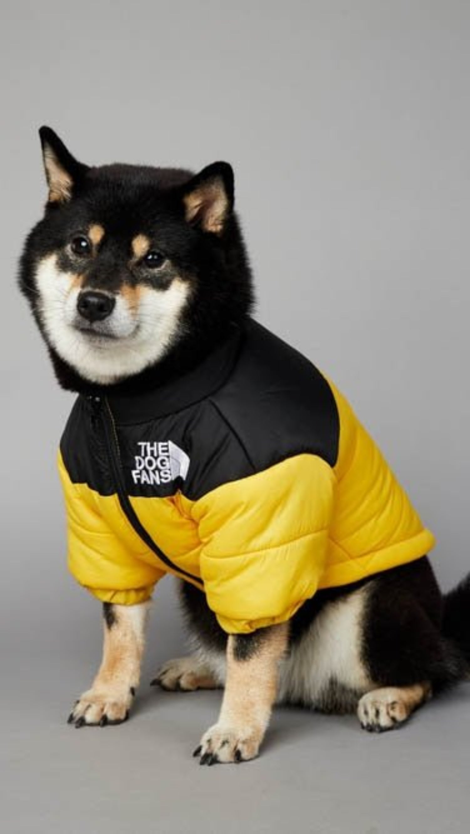 Warm Windproof Winter Dog Coat Jacket - Best Buddy Store