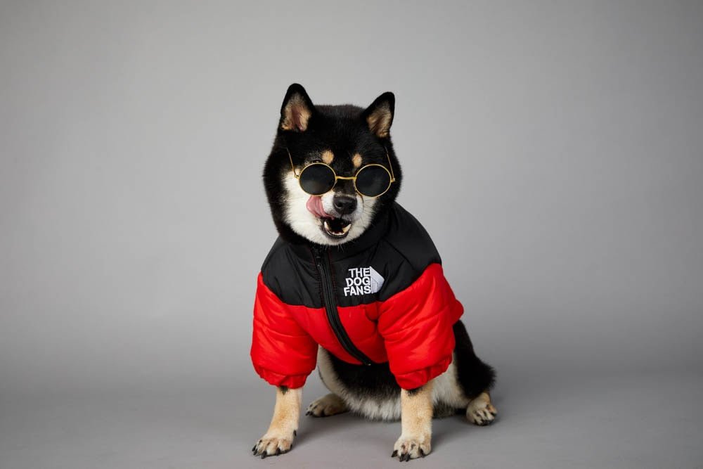 Warm Windproof Winter Dog Coat Jacket - Best Buddy Store