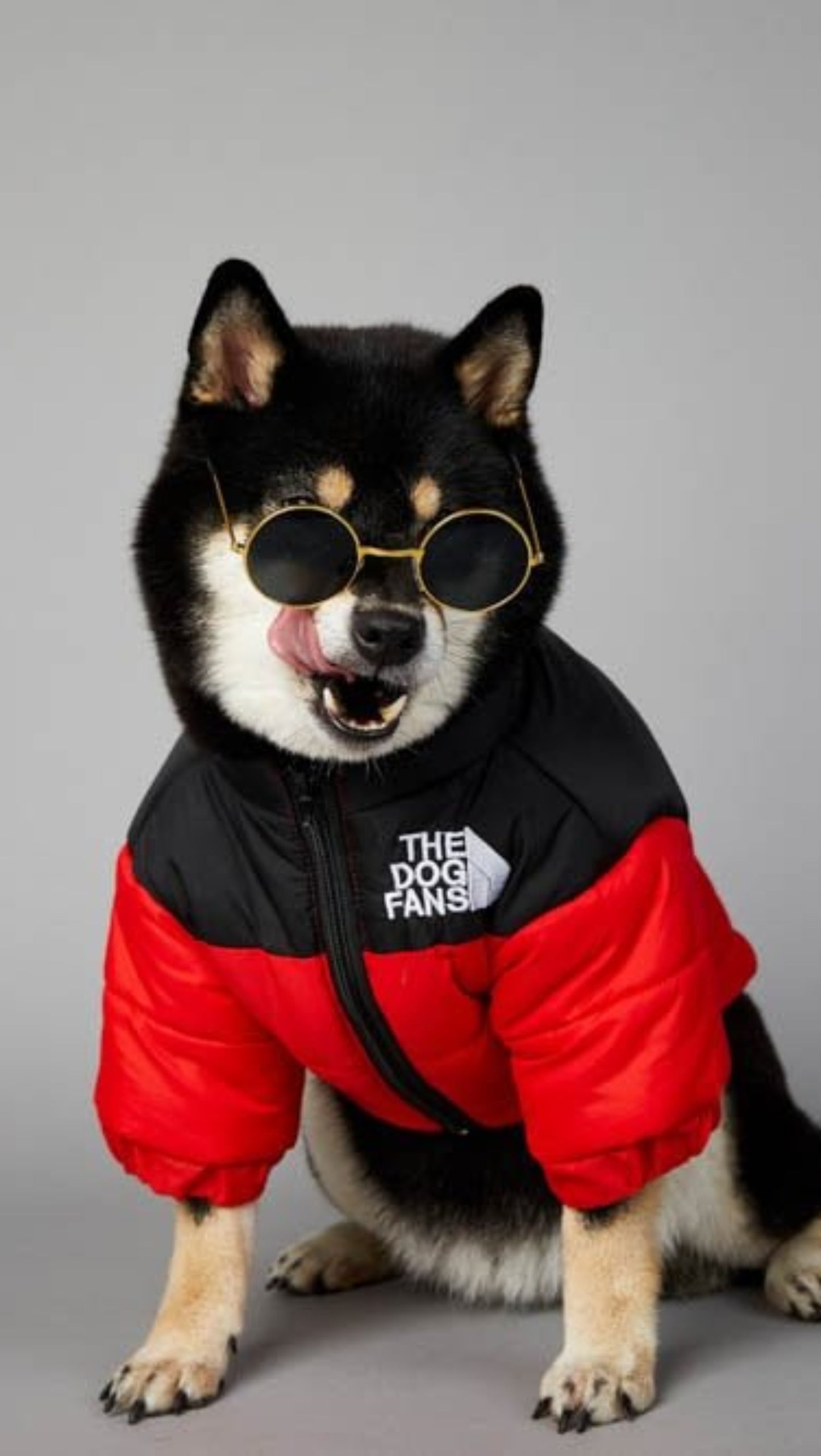 Warm Windproof Winter Dog Coat Jacket - Best Buddy Store