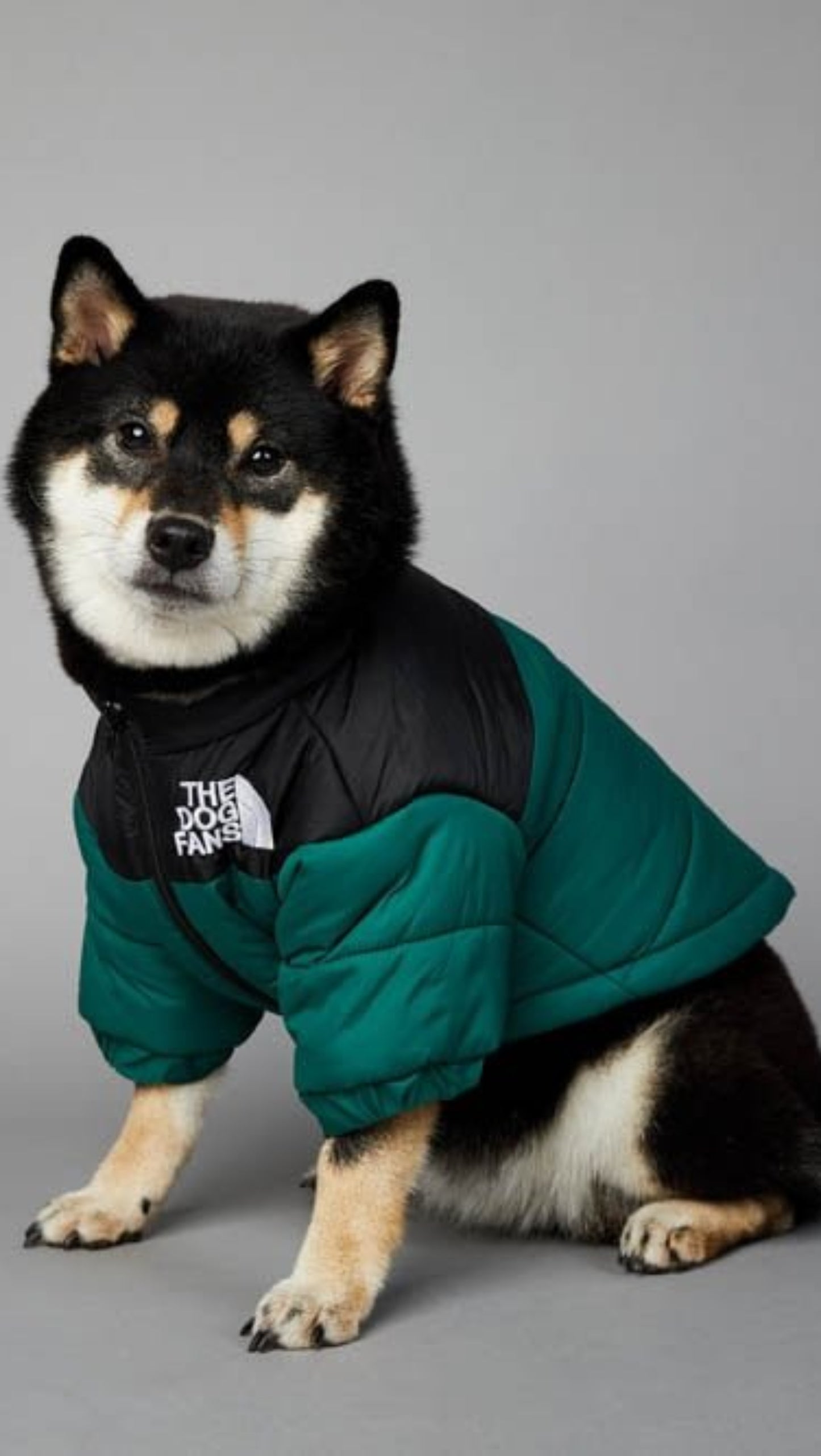 Warm Windproof Winter Dog Coat Jacket - Best Buddy Store