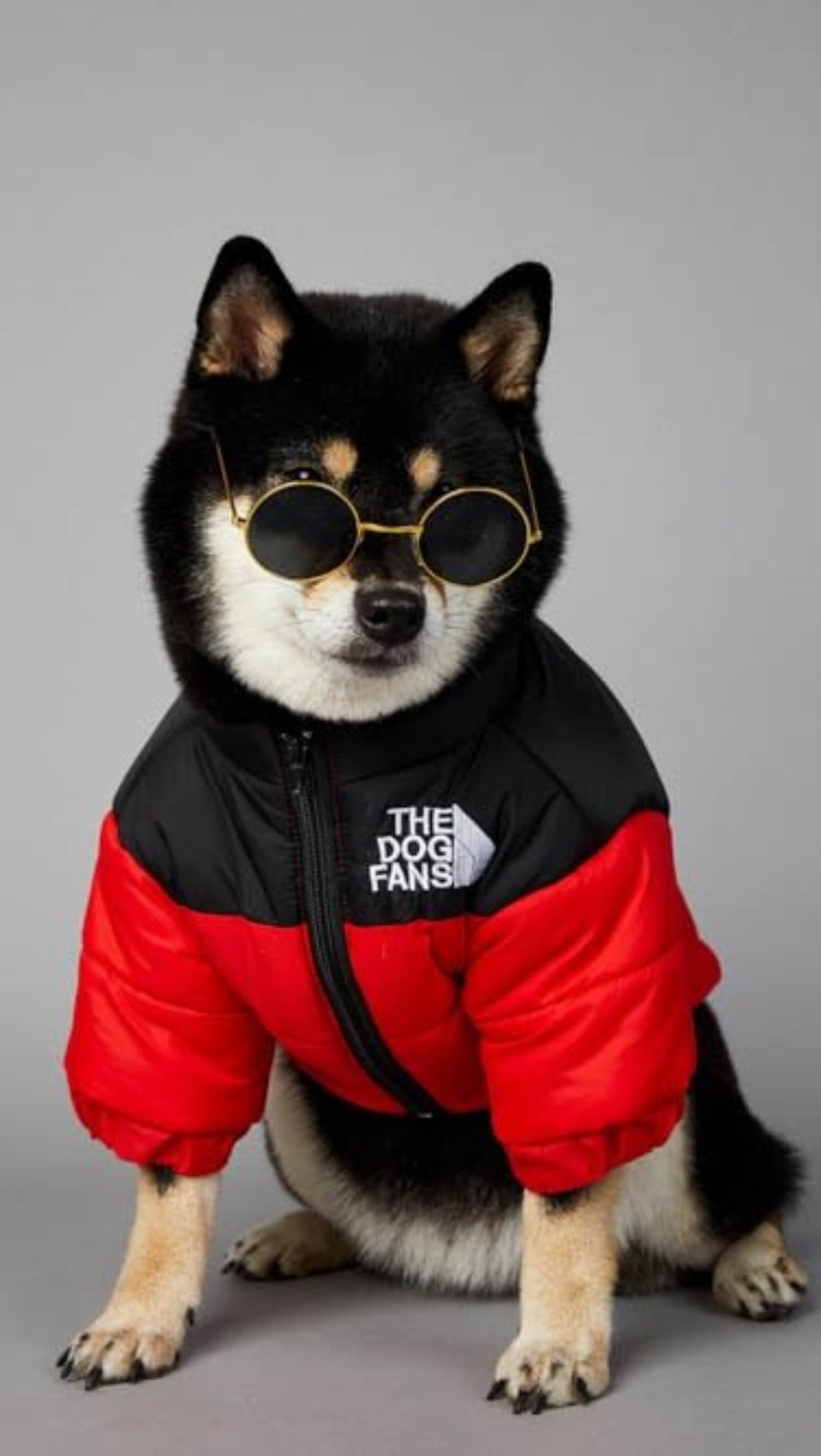 Warm Windproof Winter Dog Coat Jacket - Best Buddy Store