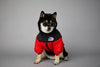 Warm Windproof Winter Dog Coat Jacket - Best Buddy Store