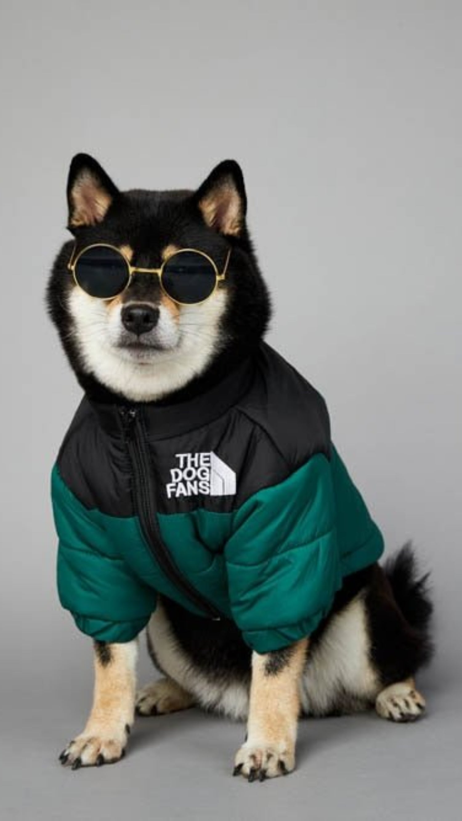 Warm Windproof Winter Dog Coat Jacket - Best Buddy Store