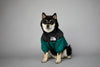 Warm Windproof Winter Dog Coat Jacket - Best Buddy Store