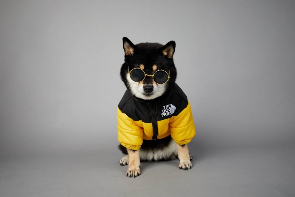 Warm Windproof Winter Dog Coat Jacket - Best Buddy Store