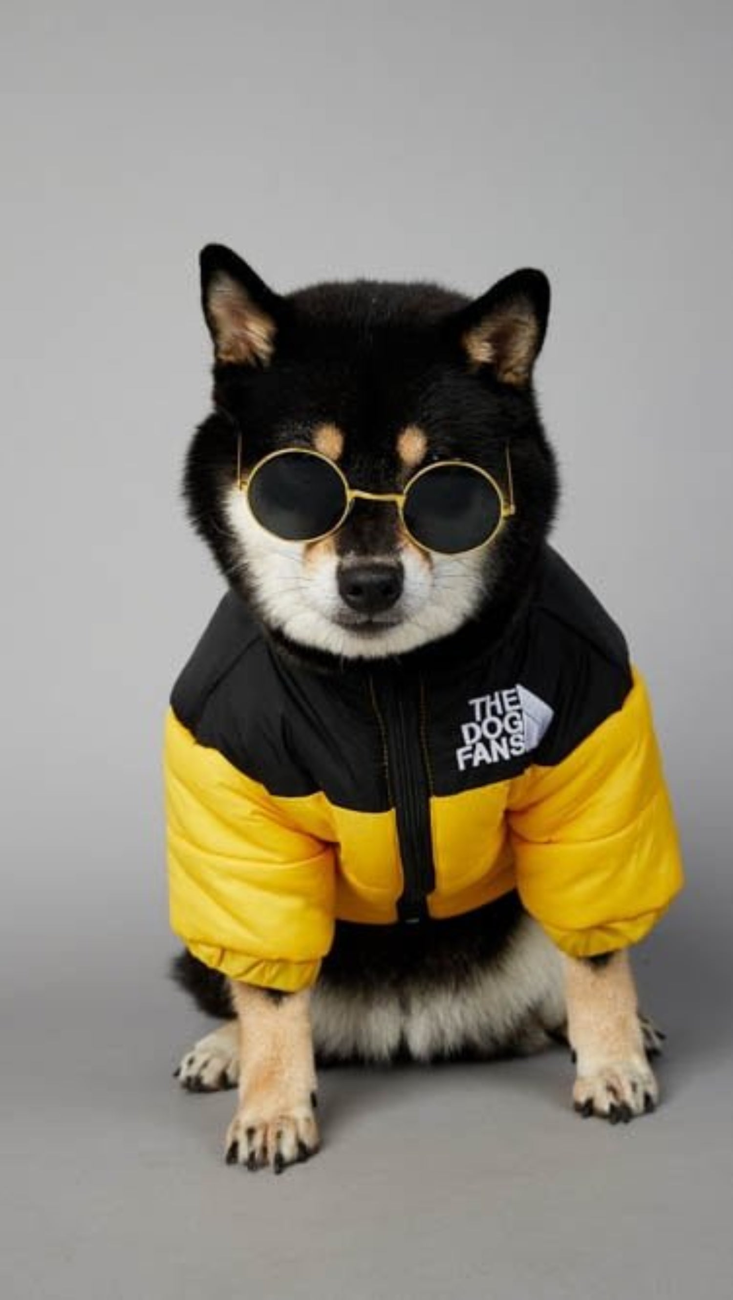 Warm Windproof Winter Dog Coat Jacket - Best Buddy Store