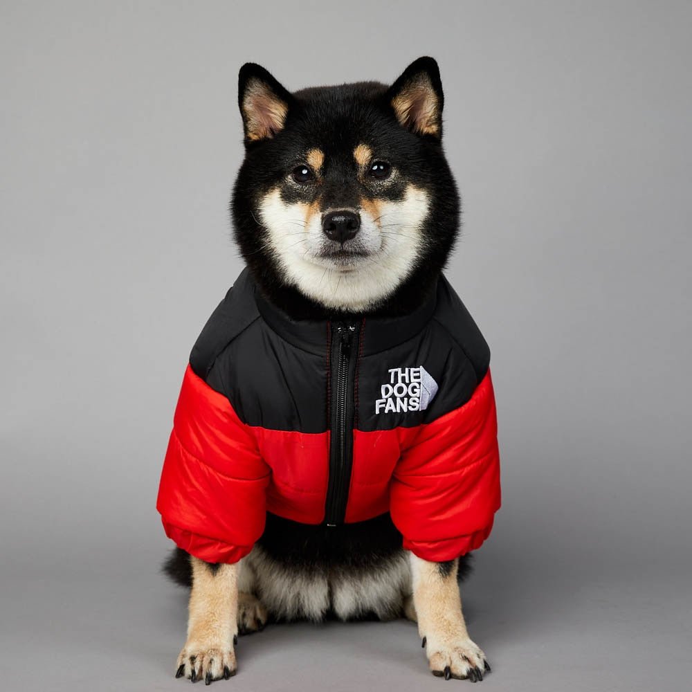 Warm Windproof Winter Dog Coat Jacket - Best Buddy Store