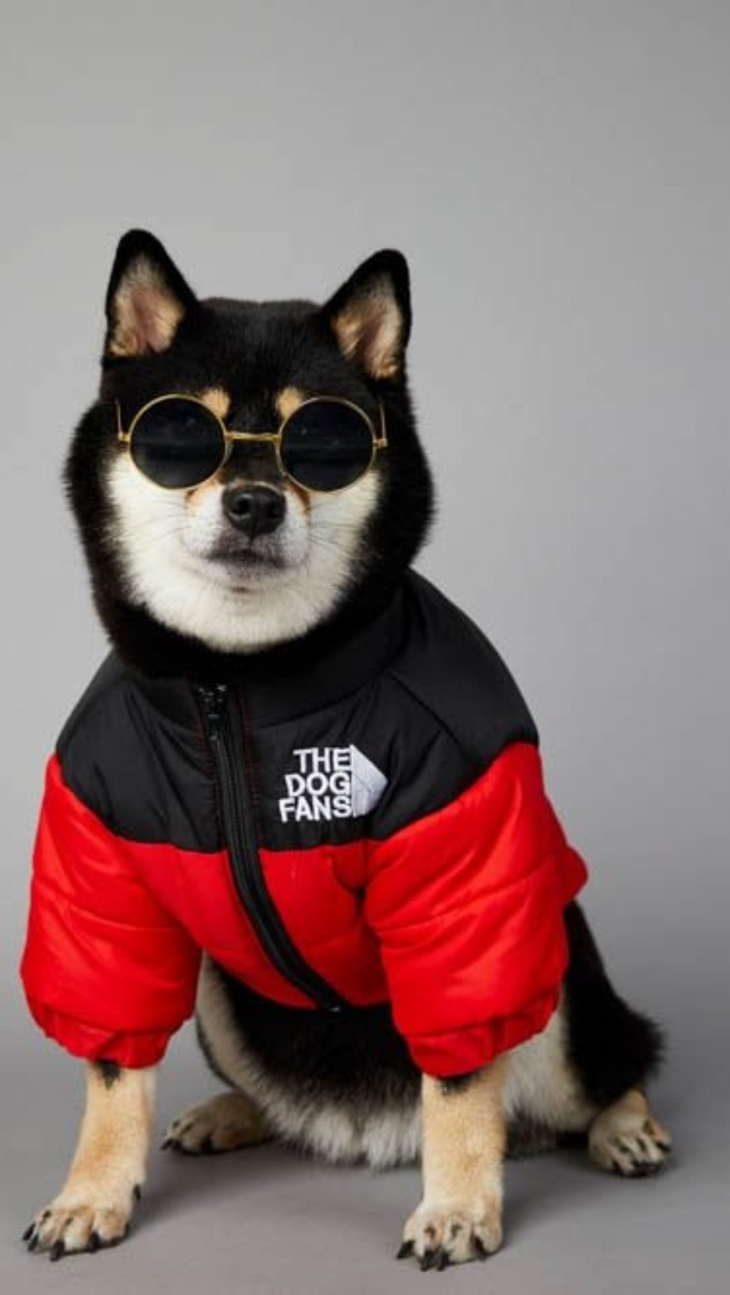 Warm Windproof Winter Dog Coat Jacket - Best Buddy Store