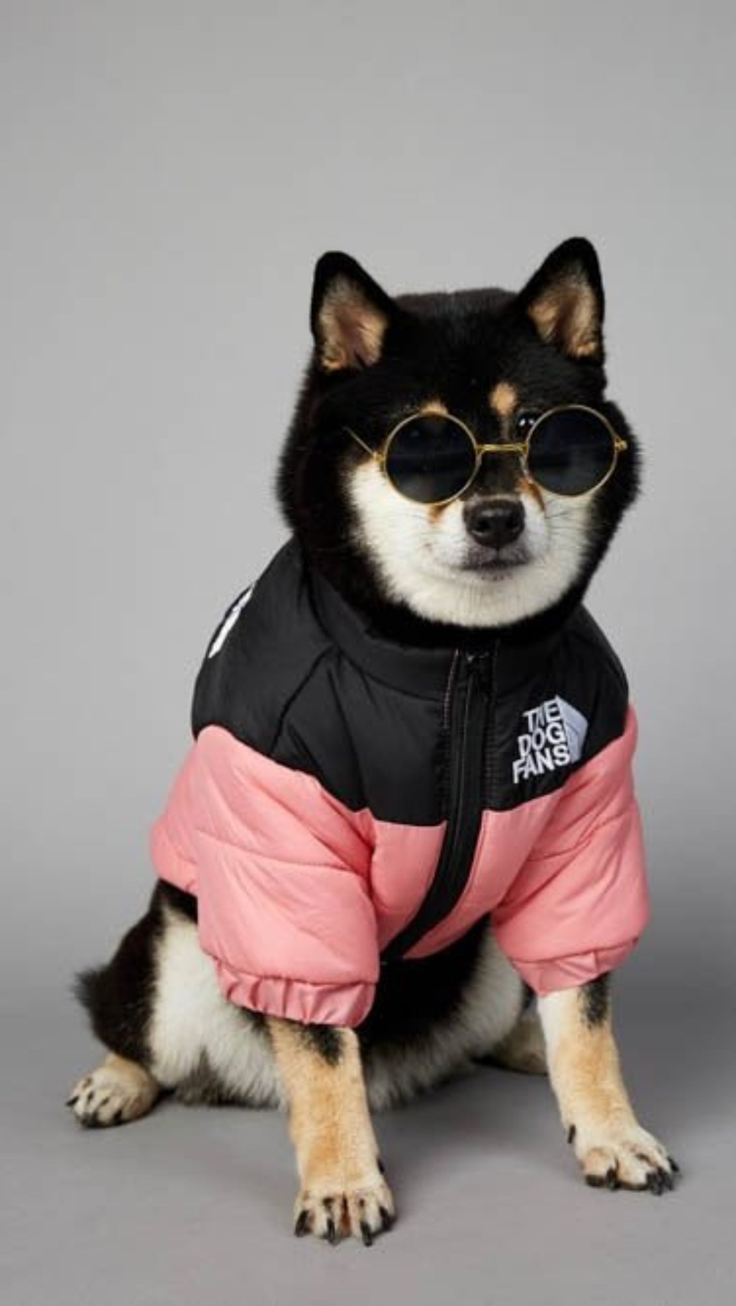 Warm Windproof Winter Dog Coat Jacket - Best Buddy Store