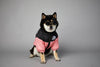 Warm Windproof Winter Dog Coat Jacket - Best Buddy Store