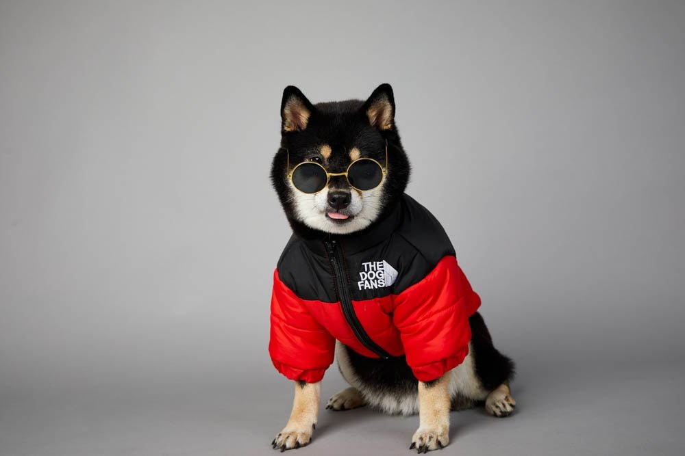 Warm Windproof Winter Dog Coat Jacket - Best Buddy Store