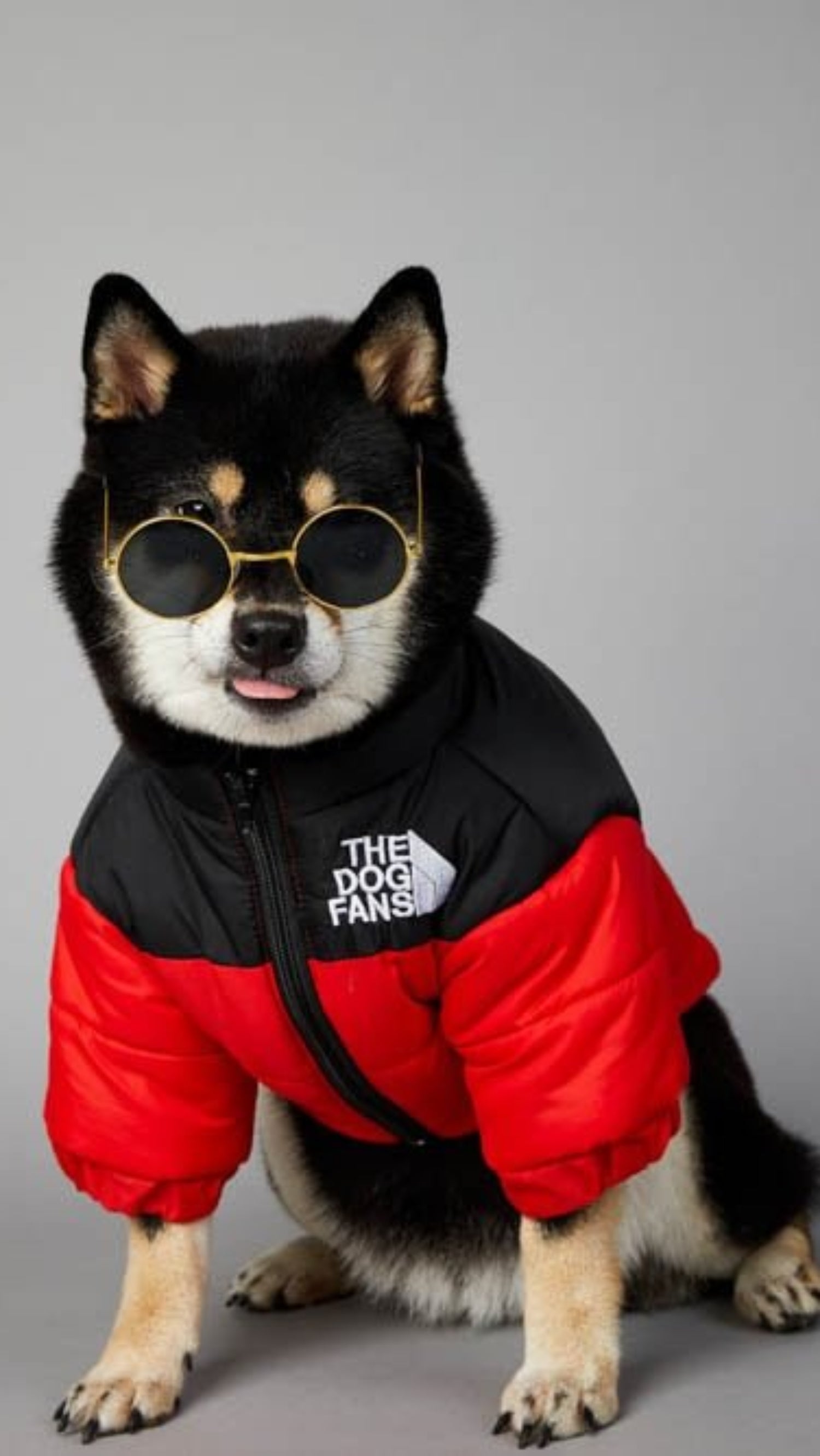 Warm Windproof Winter Dog Coat Jacket - Best Buddy Store