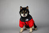 Warm Windproof Winter Dog Coat Jacket - Best Buddy Store