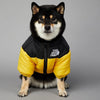 Warm Windproof Winter Dog Coat Jacket - Best Buddy Store