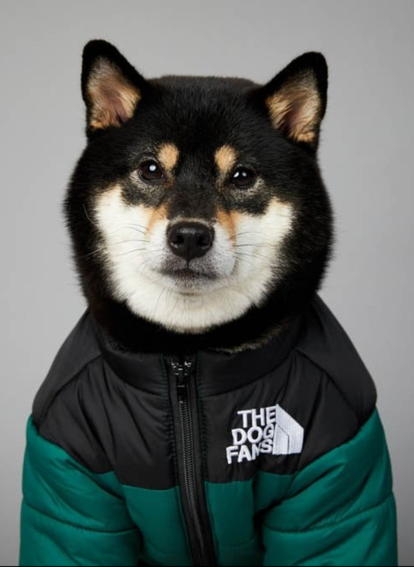 Warm Windproof Winter Dog Coat Jacket - Best Buddy Store