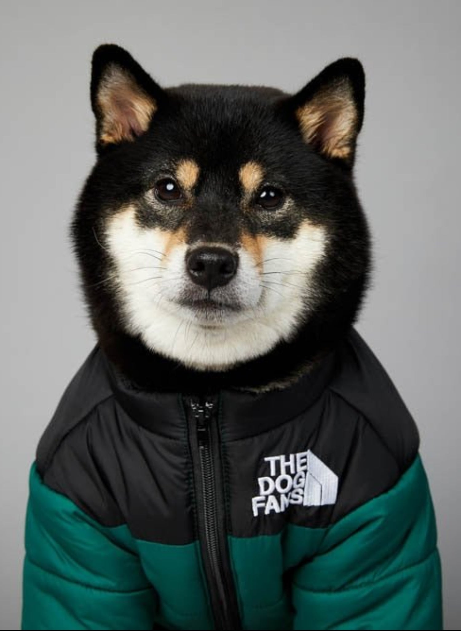 Warm Windproof Winter Dog Coat Jacket - Best Buddy Store