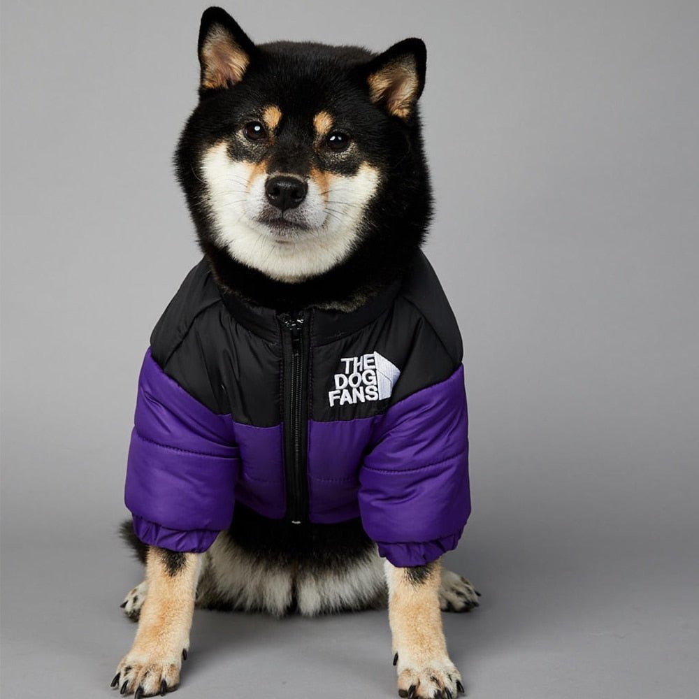 Warm Windproof Winter Dog Coat Jacket - Best Buddy Store