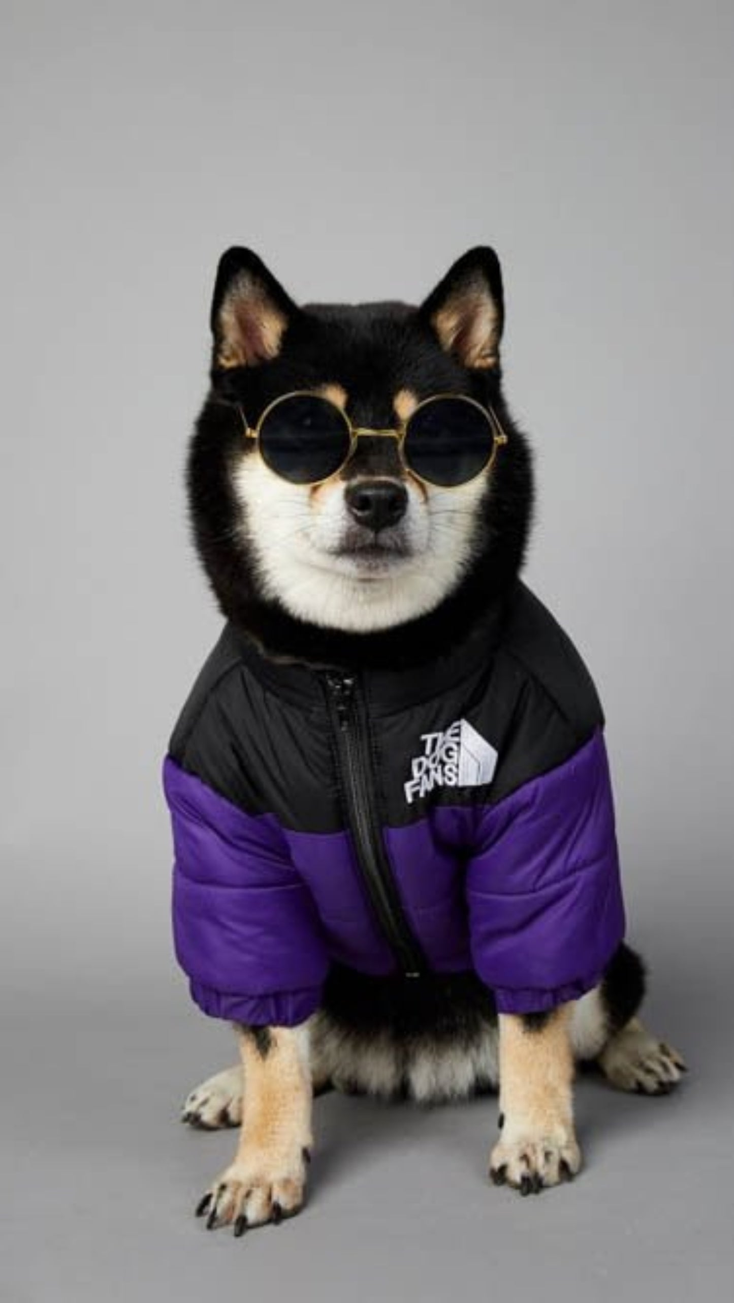 Warm Windproof Winter Dog Coat Jacket - Best Buddy Store