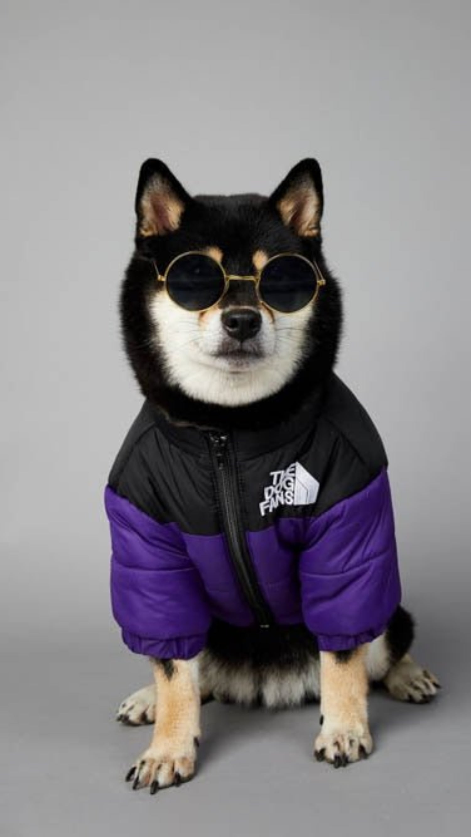 Warm Windproof Winter Dog Coat Jacket - Best Buddy Store