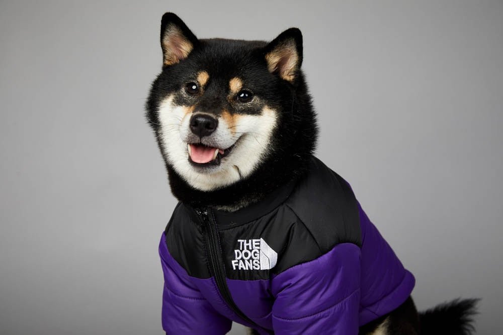 Warm Windproof Winter Dog Coat Jacket - Best Buddy Store