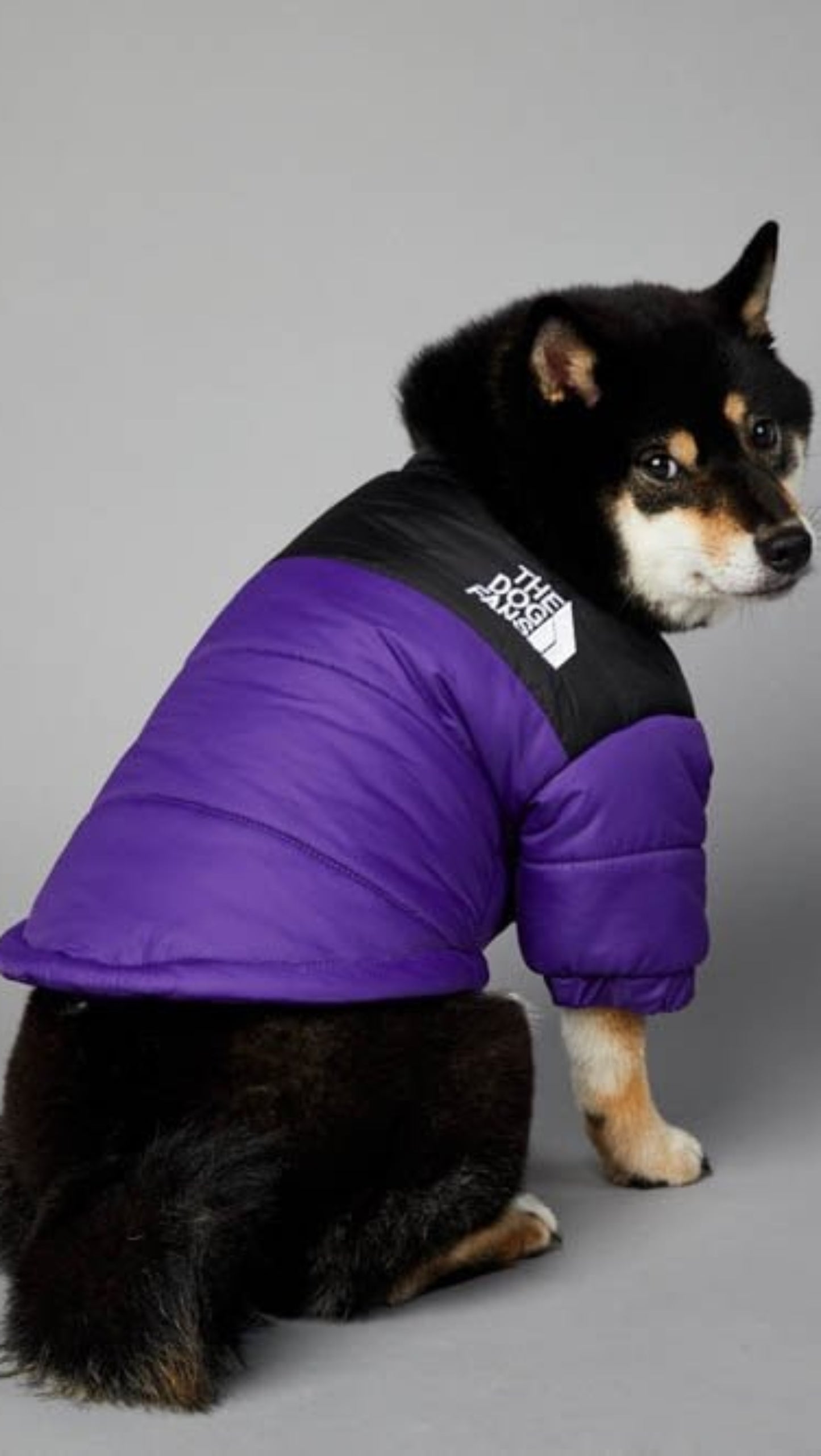 Warm Windproof Winter Dog Coat Jacket - Best Buddy Store