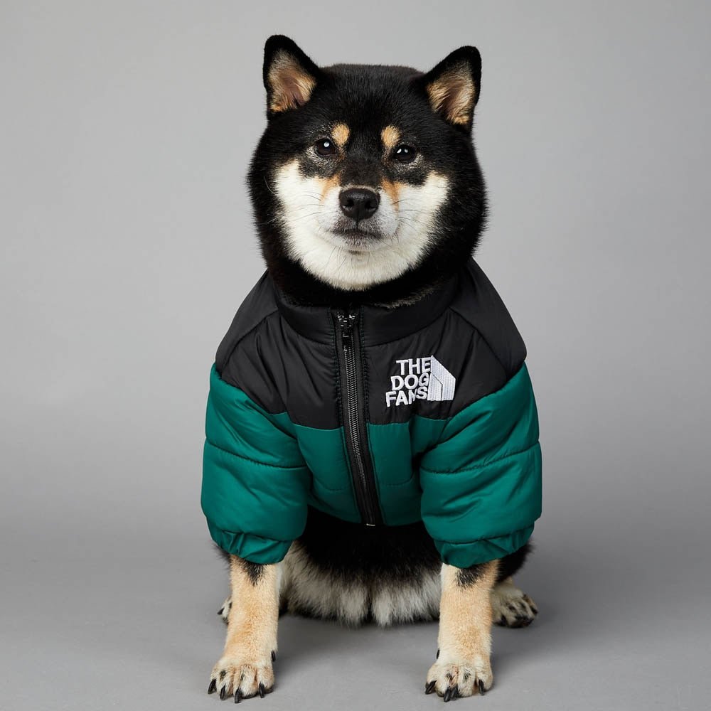 Warm Windproof Winter Dog Coat Jacket - Best Buddy Store