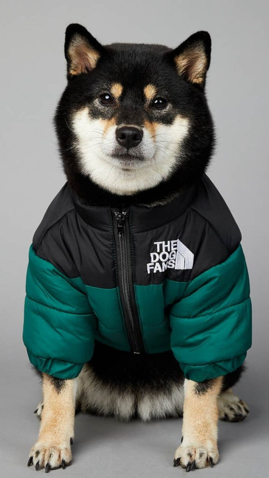 Warm Windproof Winter Dog Jacket