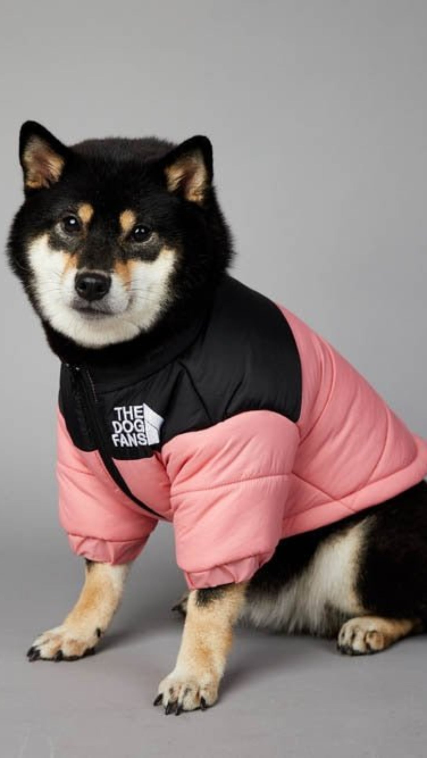 Warm Windproof Winter Dog Coat Jacket - Best Buddy Store