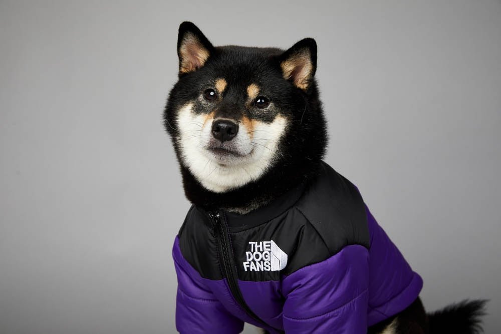 Warm Windproof Winter Dog Coat Jacket - Best Buddy Store