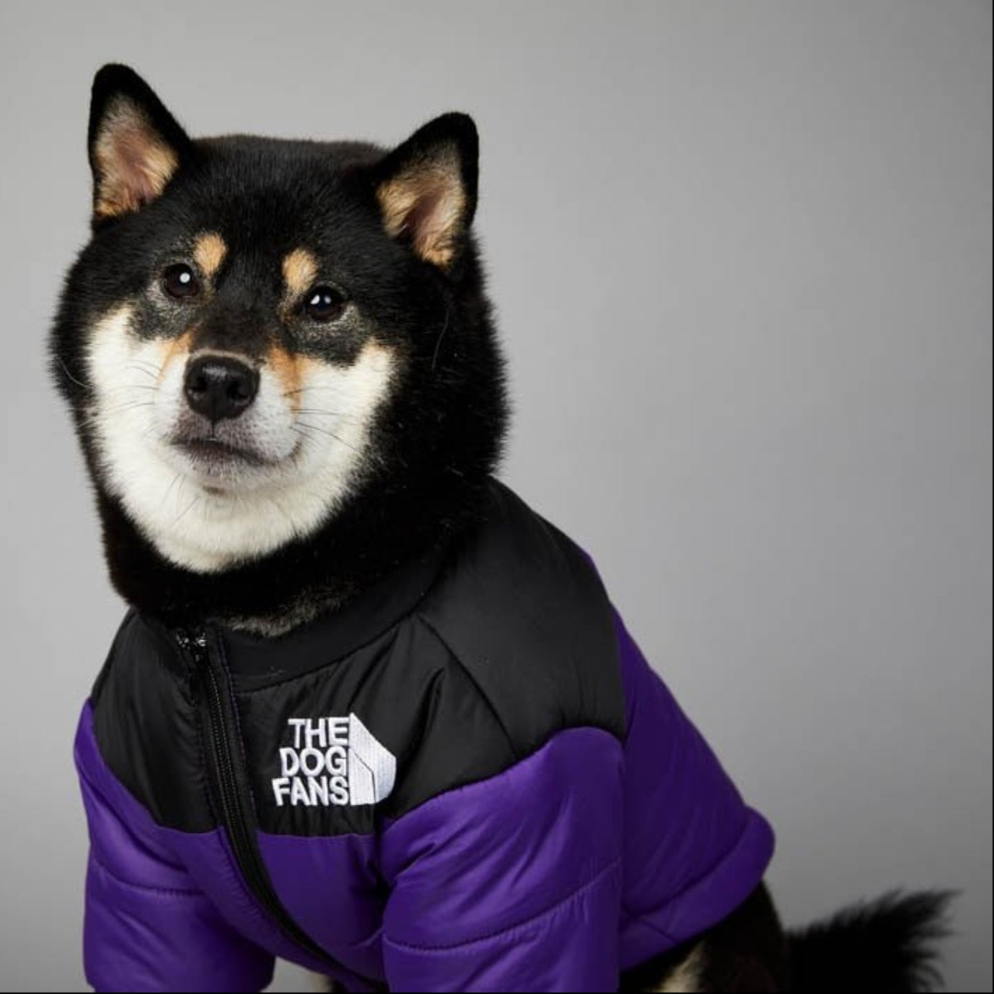 Warm Windproof Winter Dog Coat Jacket - Best Buddy Store