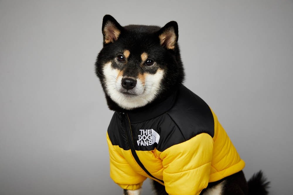 Warm Windproof Winter Dog Coat Jacket - Best Buddy Store