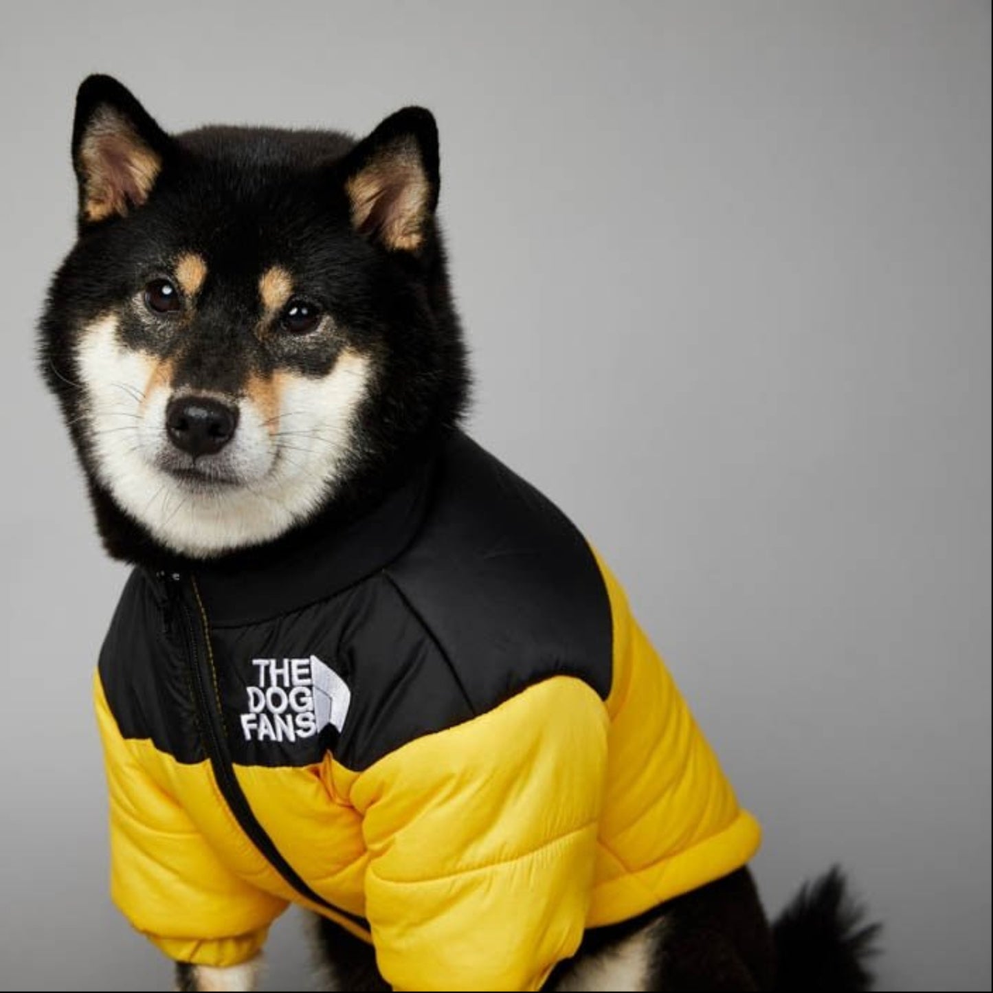 Warm Windproof Winter Dog Coat Jacket - Best Buddy Store