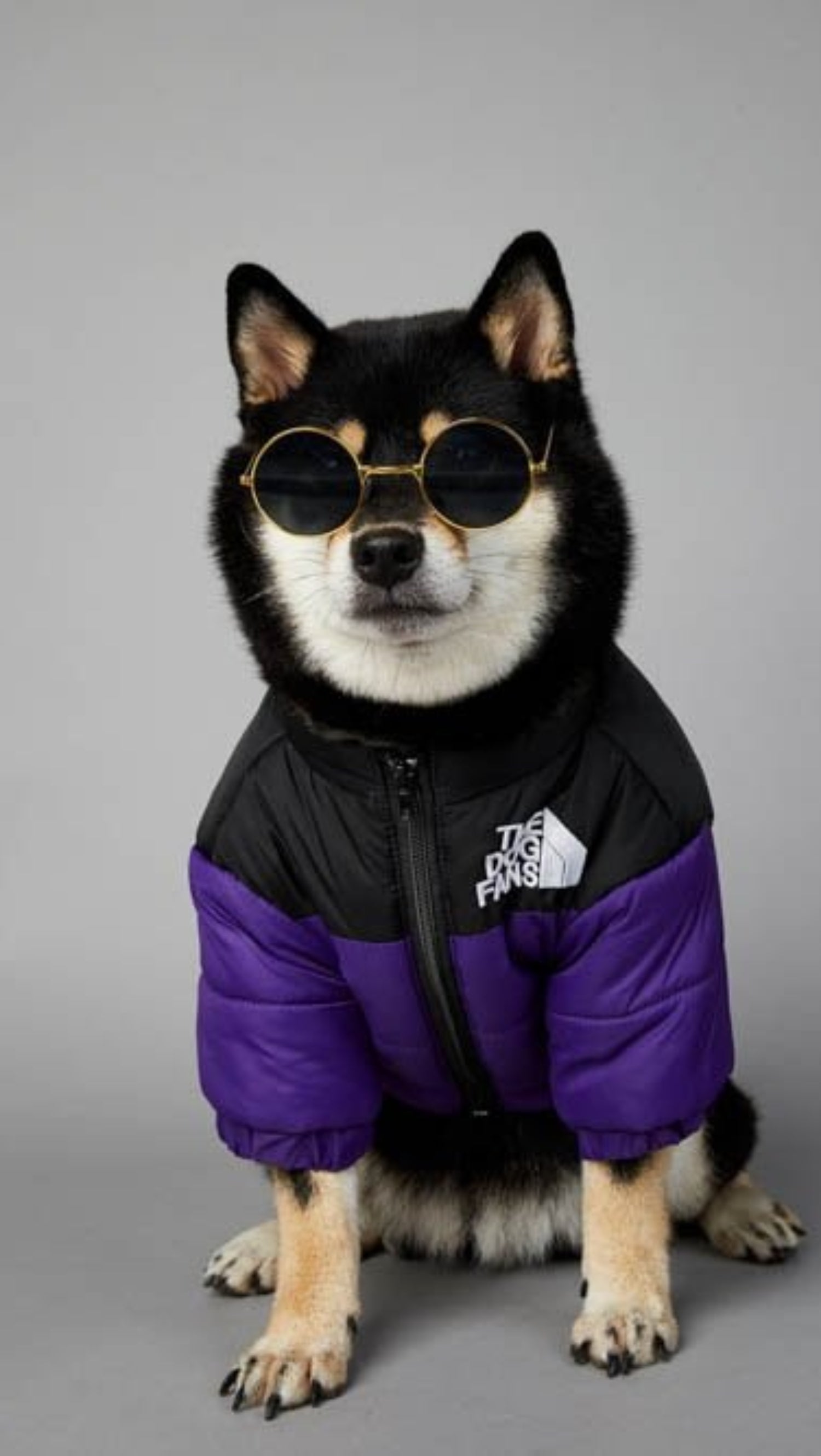 Warm Windproof Winter Dog Coat Jacket - Best Buddy Store