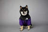 Warm Windproof Winter Dog Coat Jacket - Best Buddy Store