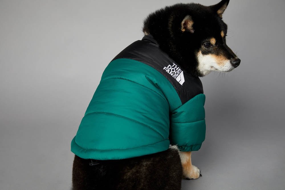 Warm Windproof Winter Dog Coat Jacket - Best Buddy Store