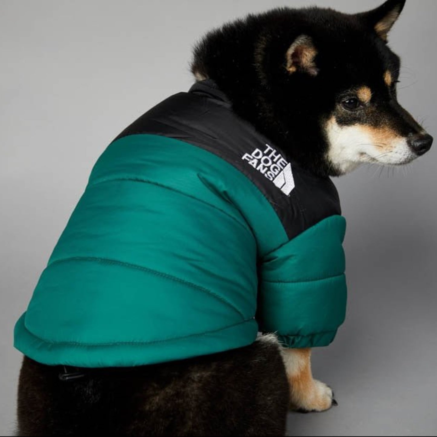 Warm Windproof Winter Dog Coat Jacket - Best Buddy Store