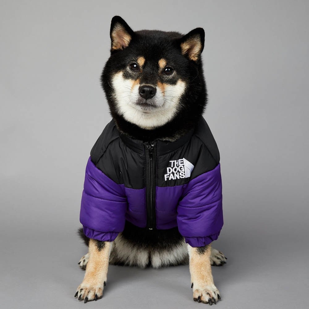 Warm Windproof Winter Dog Coat Jacket - Best Buddy Store