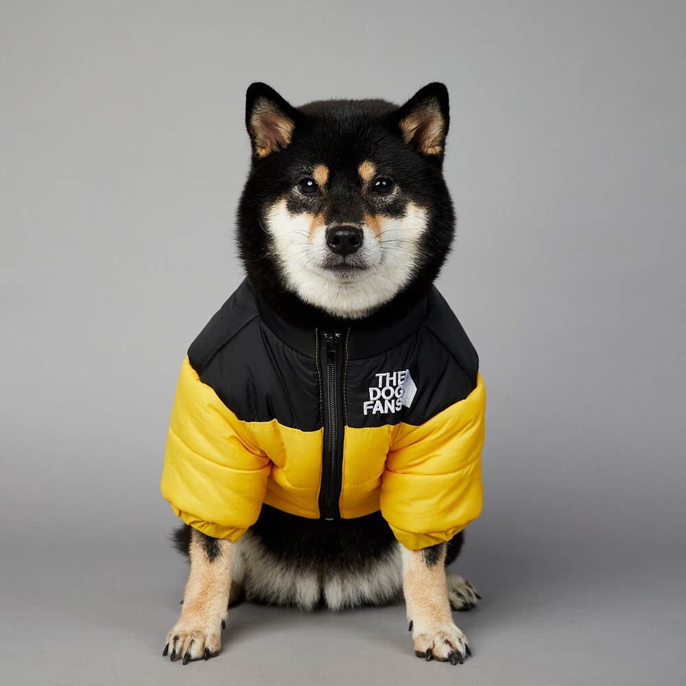 Warm Windproof Winter Dog Coat Jacket - Best Buddy Store