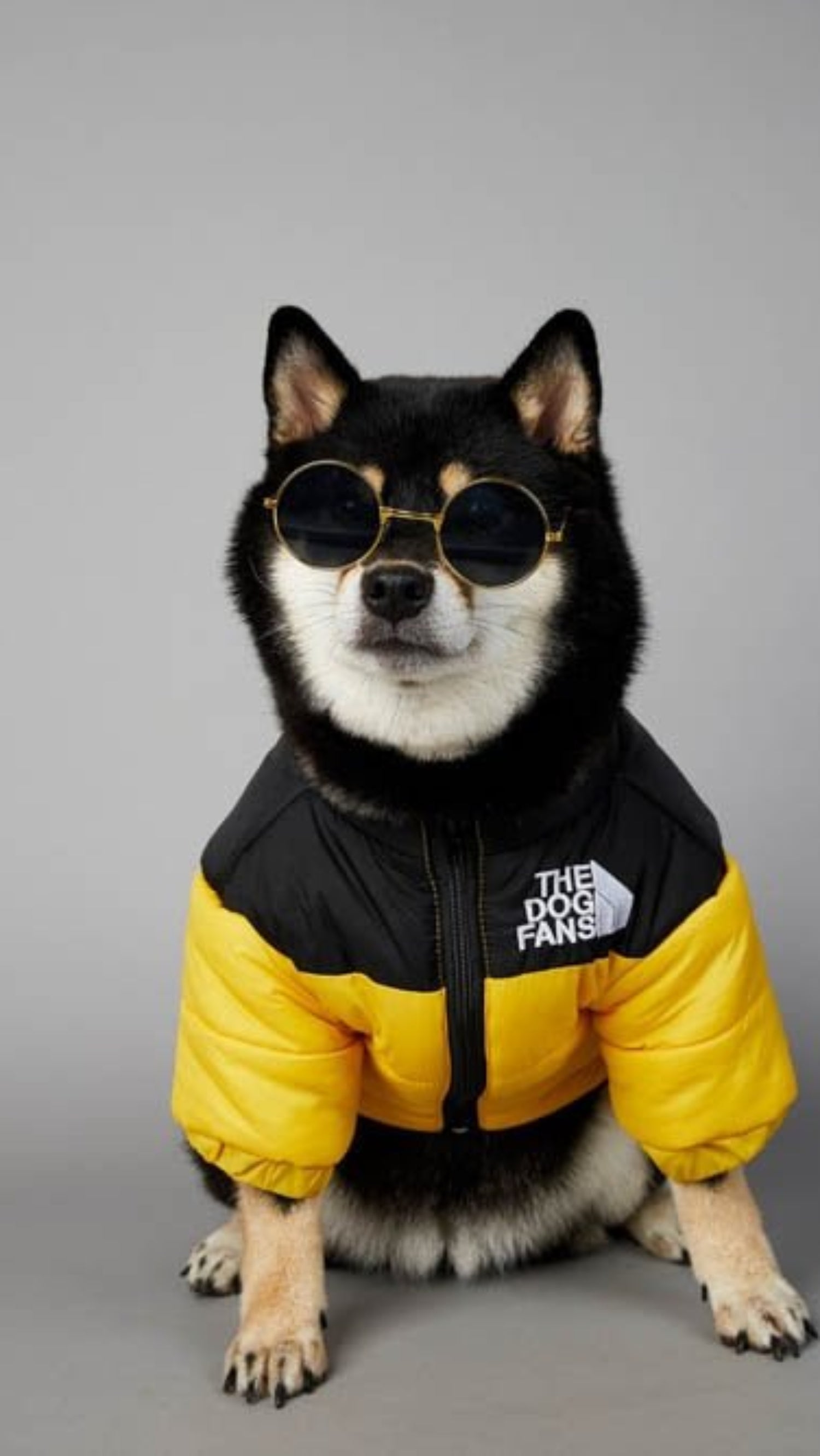 Warm Windproof Winter Dog Coat Jacket - Best Buddy Store