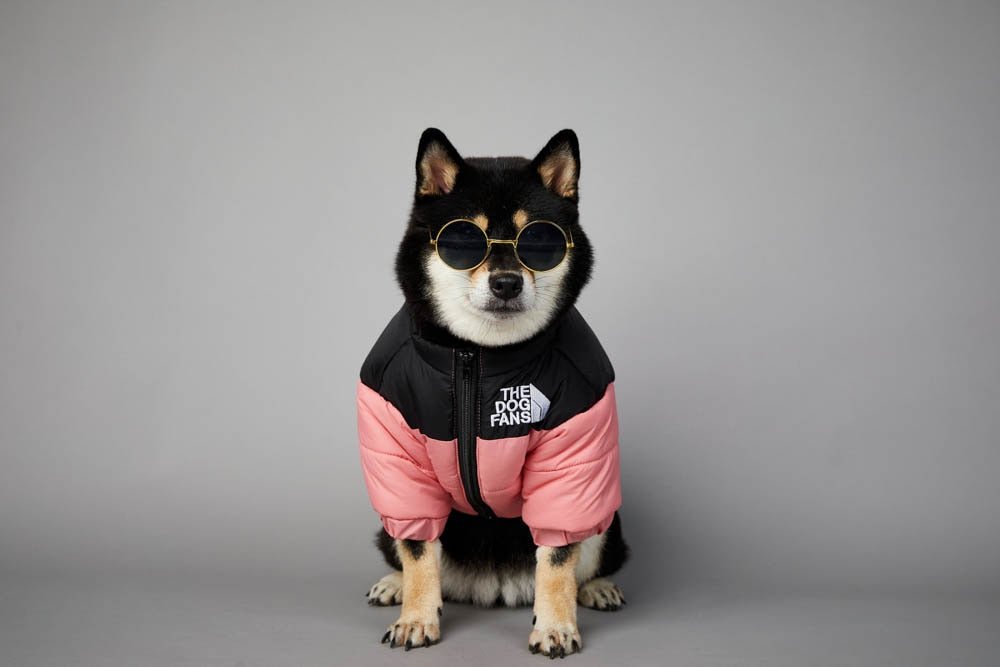 Warm Windproof Winter Dog Coat Jacket - Best Buddy Store
