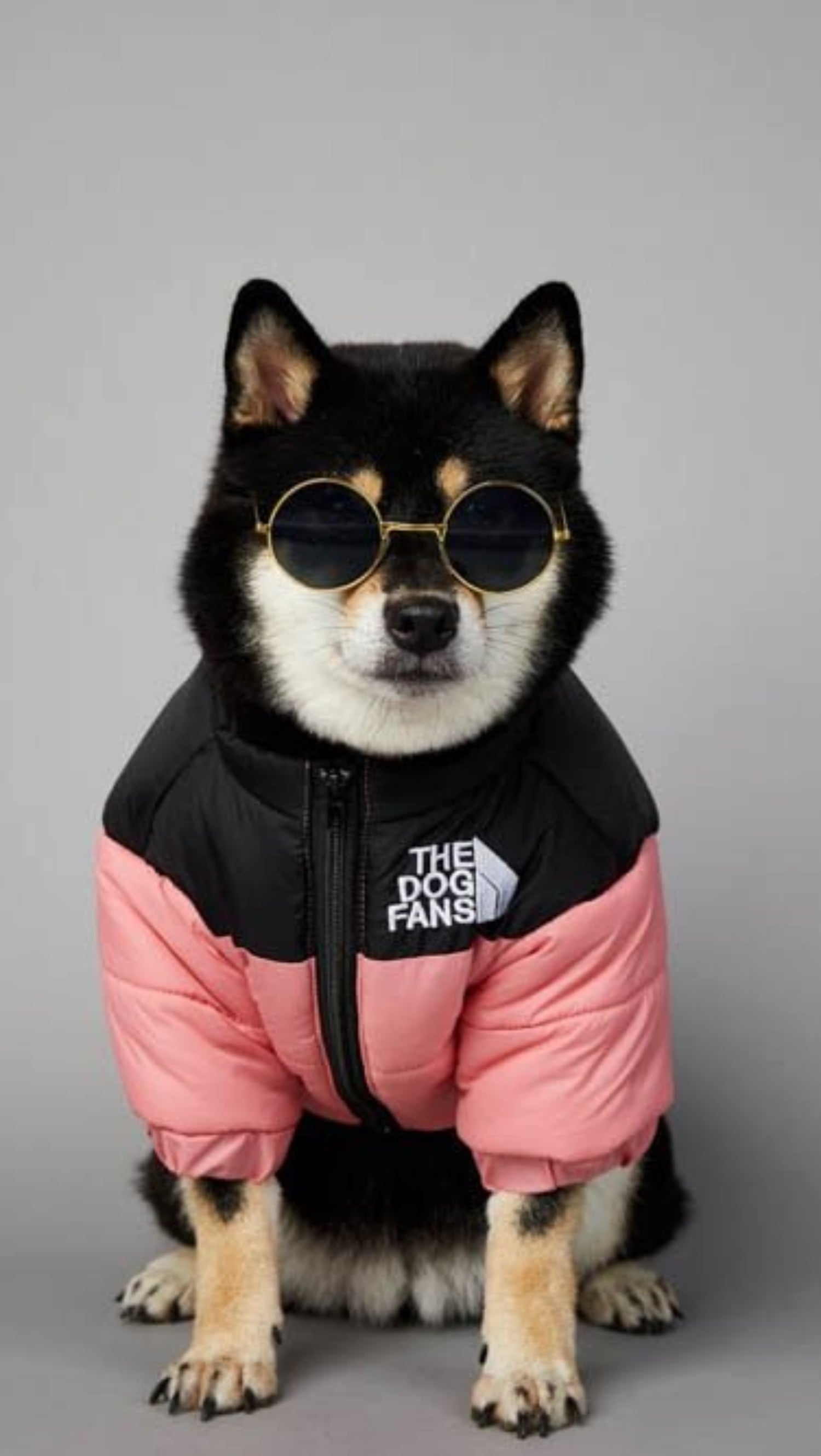 Warm Windproof Winter Dog Coat Jacket - Best Buddy Store