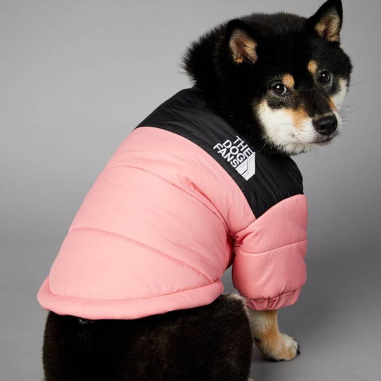 Warm Windproof Winter Dog Coat Jacket - Best Buddy Store