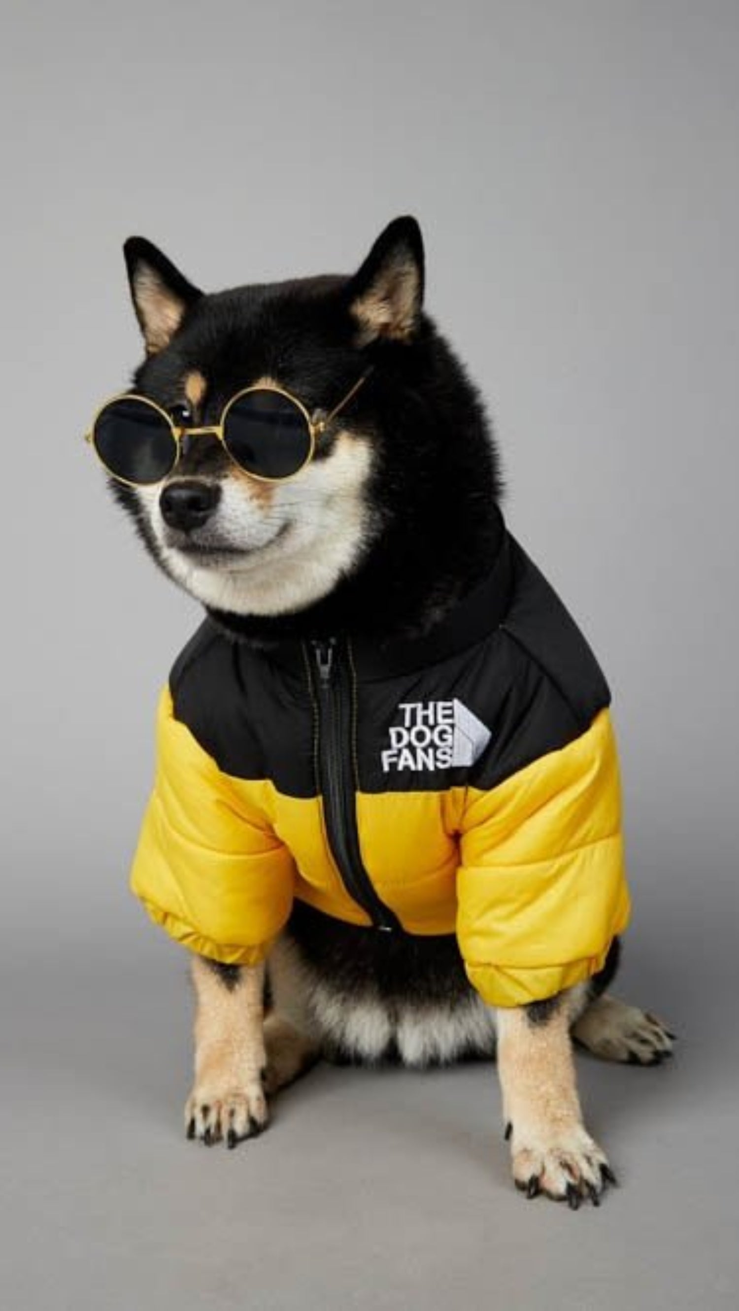 Warm Windproof Winter Dog Coat Jacket - Best Buddy Store