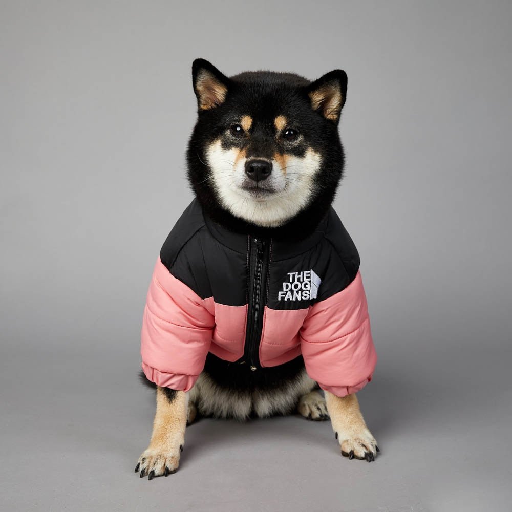 Warm Windproof Winter Dog Coat Jacket - Best Buddy Store