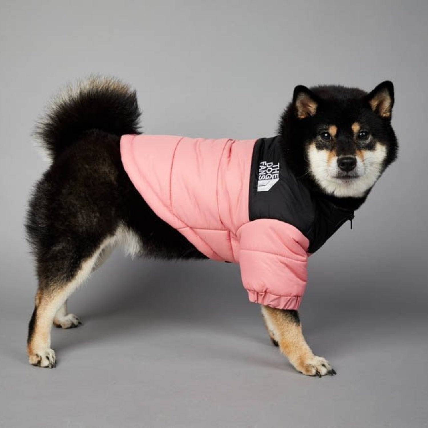 Warm Windproof Winter Dog Coat Jacket - Best Buddy Store